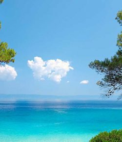 Απρόσκοπτη λειτουργία κατασκήνωσης παιδιών, ΑμεΑ και ηλικιωμένων στη Μεταμόρφωση Χαλκιδικής